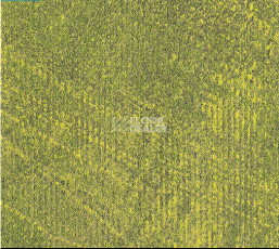 Ковровая плитка Milliken In Situ imv 103-62 Foliage фото 1 | FLOORDEALER